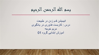 پویانمایی 24