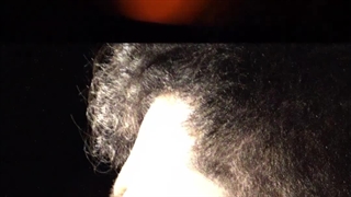 تئاتر مرگامرگ