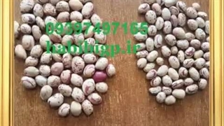 خرید قرص پلاتین عمده