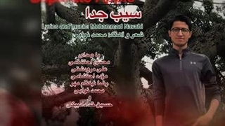 آلبوم جدید از محمد نوابی با نام سیب جدا | Mohammad Navabi