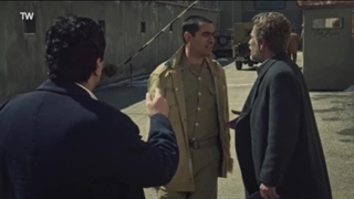 دانلود رایگان سریال سرزمین مادری