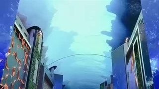 گشتی در بازار چین