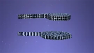 انواع زنجیر صنعتی Himax (غلتکی)