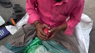 تو بنگلادش یه مدل انار هست توش خرما است!