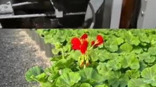 پر کردن گلدان و ایجاد حفره در گلدان