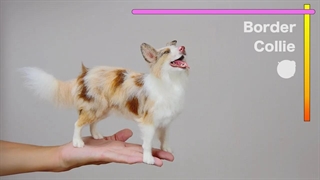 فرآیند ساخت با نمد پشمی