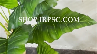 خرید درختچه مصنوعی بابا آدم دو تکه سایز متوسط پخش از فروشگاه ملی