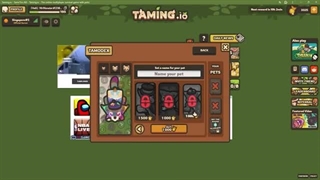 Taming.io How to Answer All Question in T.A.M.E.R Exam!