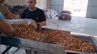 دستگاه خمیر خرما سایز بزرگ