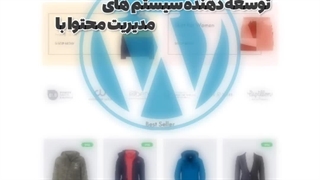 توسعه دهنده سیستم های مدیریت محتوا با WordPress