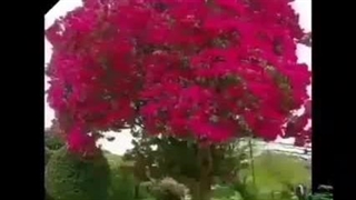 دانلودفیلم‌سینمایی‌سه‌بیگانه