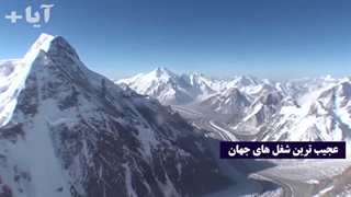 شغل های عجیب و باورنکردنی با درامد بالا