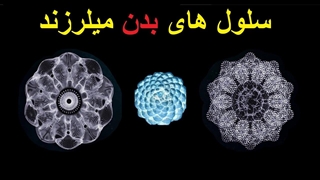 سلول های انسانی با فرکانس تشدید ارتعاش می کنند و از نظر فنی قابل شنیدن است