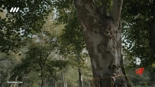 دانلود رایگان سریال ایرانی رحیل تمام قسمتها