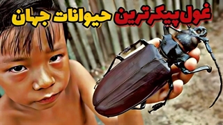 بزرگترین حیوانات جهان: حیواناتی که با دیدنشون دود ازسرتون بلند میشه!