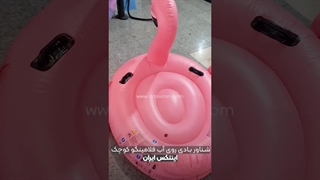 شناور بادی روی آب طرح فلامینگو سایز کوچک