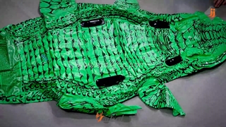 شناور بادی روی آب تمساح مدل دو نفره