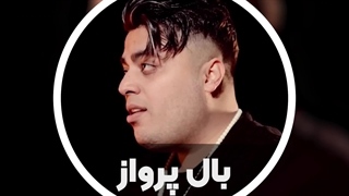 آهنگ زیبا «بال پرواز» با صدای امید عقابی