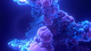 خرید ممبر پروکسی دار تلگرام کاملا تضمینی + 30% هدیه تحویل فوری