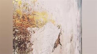 پخش کاغذ دیواری طرح پتینه