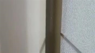 آموزش اندازه گیری برای سفارش درب سویس بهداشتی  | چوب ایران