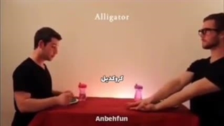 غذا خوردن انواع حیوانات