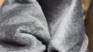 لگ کبریتی کرم