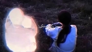 قلب سیاهو رگای سنگی؛