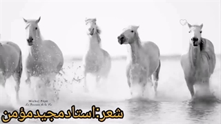 شعر خوانی مجید مومن در حضور شاعران درجه یک ادبیات جهان