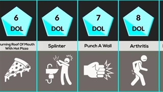 Human Pain Comparison