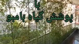 فلاور باکس با پوشش گیاهی بالا (سورن بام)