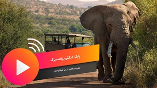 سافاری در پارک جنگلی پیلانسبرگ