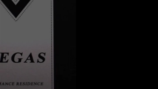 آلبوم کاغذ دیواری وگاس VEGAS