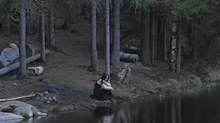 اگه امروز اخرین روزت بود، اسم کتاب زندگیتو چی میذاشتی!!