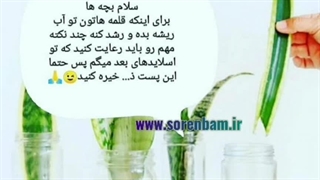 آموزش نگه داری گل گیاه (سورن بام)