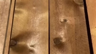 تولیدات ترموود ساسنا از بهترین چوب روسی