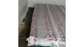 پرورش قارچ 4