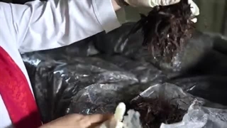 پرورش قارچ 13