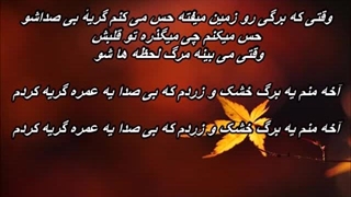 Iraj Mahdian - Barg / ایرج مهدیان ـ برگ