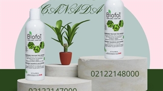 بهترین شامپو رشد مو گیاهی