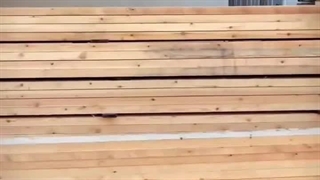 تولید چوب ترمو درجه یک