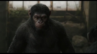 فیلم طلوع سیاره میمون ها