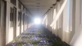 "برادر! اینجا بهشته؟"`کامنت اول رو بخونید`