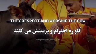 اسلام و اعطا کرامت انسانی