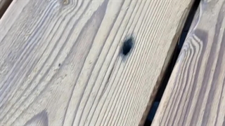 خودتون تایل های ترموود رو مقایسه کنید!