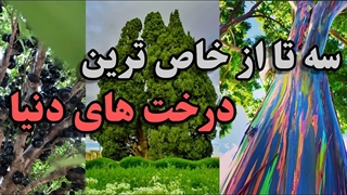 دانستنی جالب در مورد عجیب ترین درختان جهان