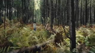 دانلود رایگان فیلم سینمایی پادشاهی حیوانات