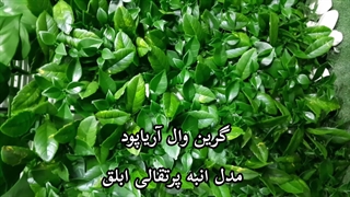 گرین وال آریاپود مدل انبه پرتقالی ابلق