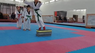 تمزکر قدرت پا در تکواندو(وبلاگ آینده داران تکواندو)