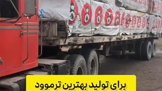 بارگیری چوب روس برای تولید ترموود درجه یک